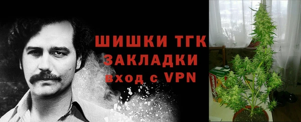 ПСИЛОЦИБИНОВЫЕ ГРИБЫ Протвино