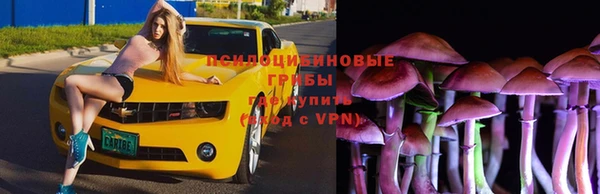 шишки Пролетарск