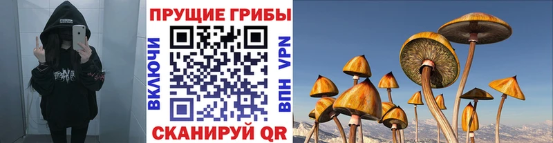 Псилоцибиновые грибы Psilocybe  где купить наркоту  Пойковский 